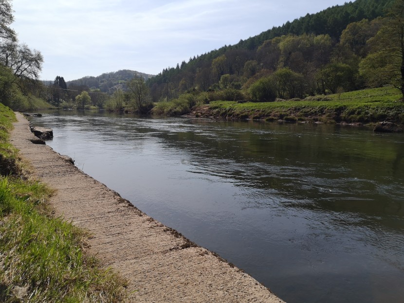 Perfect levels on the lower Wye, but nobody allowed to fish yet.